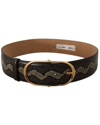 Dolce & Gabbana Authentic Phyton Snake Skin Belt With Gold Oval Buckle Leather - Brown