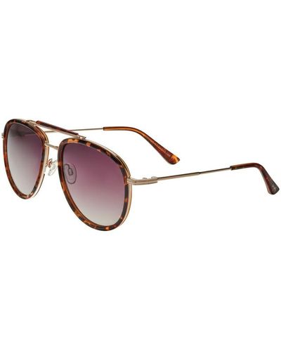 Simplify Maestro Polarized Sunglasses - Brown