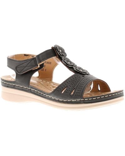 Platino Flat Sandals Daisy Touch Fastening - Brown