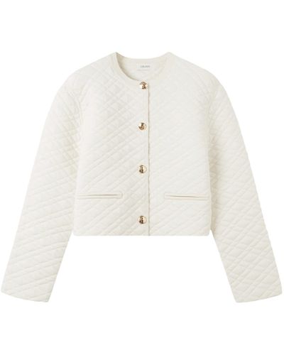 CRUSH Collection Quilted Short Jacket - White