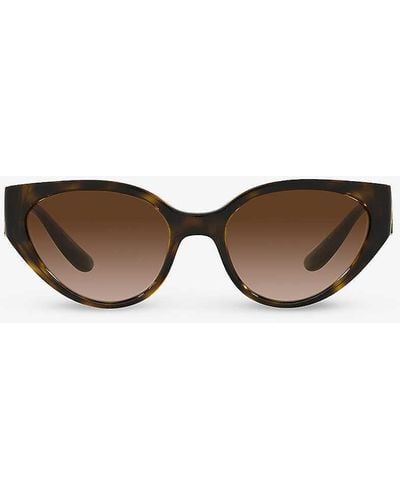 Dolce & Gabbana Dg6146 Logo-plaque Acetate Sunglasses - Brown