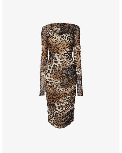 Roberto Cavalli Leopard-print Ruched Stretch-woven Midi Dress - Brown
