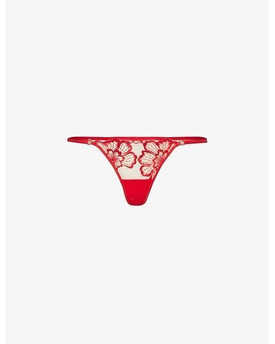 Bluebella Catalina Floral-lace Stretch-woven Thong - Red
