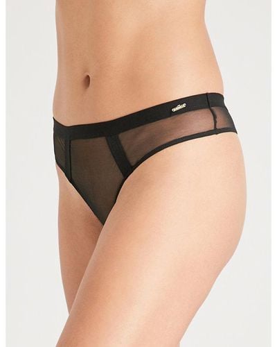 Bluebella Karolina Mesh Thong - Black