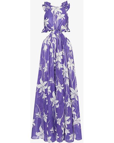 Zimmermann Acadian Ruffled Floral-print Cotton-poplin Maxi Dress - Purple