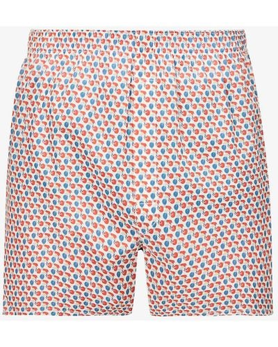 Sunspel Graphic-print Relaxed-fit Cotton-poplin Boxers - Multicolour