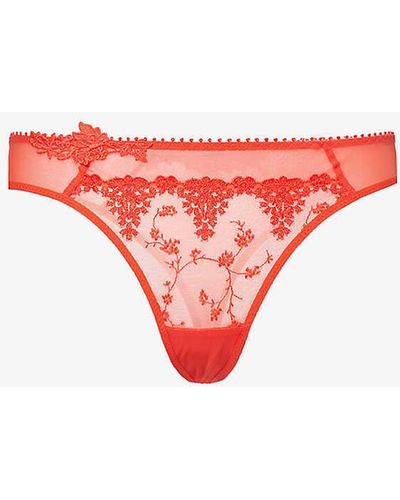Passionata White Nights Floral-embroidered Stretch-lace Brief
