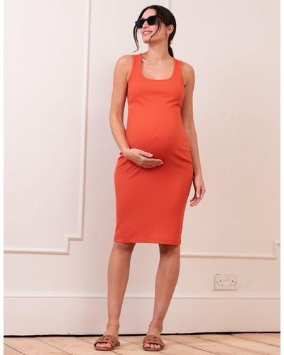 Seraphine Square-neck Knee Length Jersey Bodycon-style Maternity-to-nursing Dress - Orange