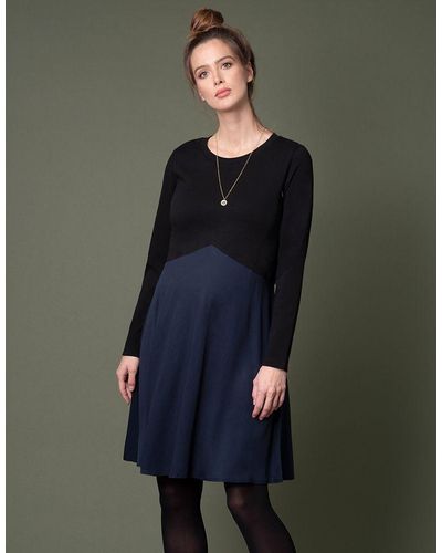 Seraphine Cotton & Lyocell Maternity & Nursing Dress - Blue