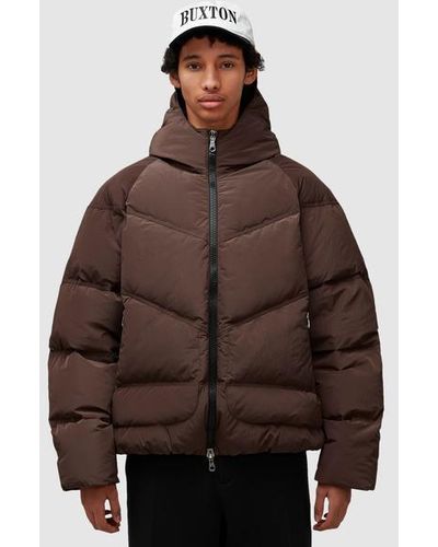 Cole Buxton Hooded Insulated Jacket - Brown