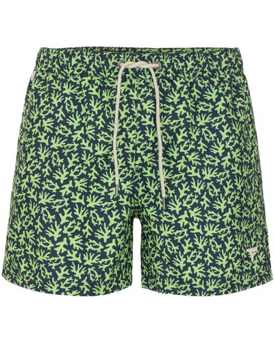 Fred Mello Summer Vibes Green Beach Shorts For Men
