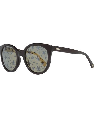 Police Butterfly Sunglasses - Black