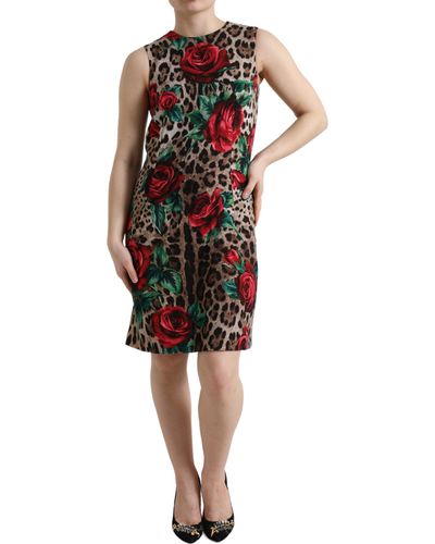 Dolce & Gabbana Brown Leopard Red Roses Wool A-line Dress - Black