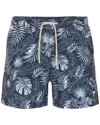 Fred Mello Polyester Swimwear - Blue