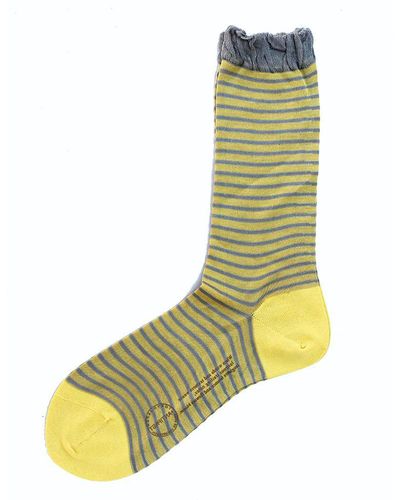 Antipast Striped Socks - Green