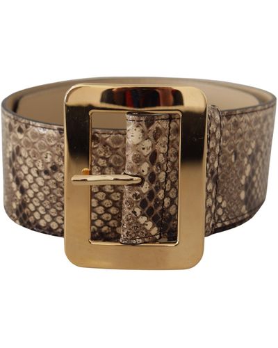 Dolce & Gabbana Brown Exotic Wide Waist Leather Gold Metal Buckle Belt - Metallic