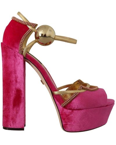 Dolce & Gabbana Cr0896-Aj700-Fuxia - Pink