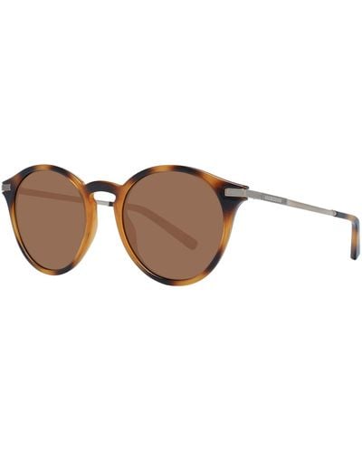 Ted Baker Sunglasses - Brown