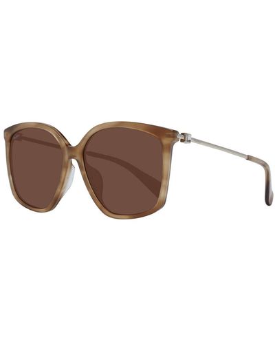 Max Mara Brown Sunglasses