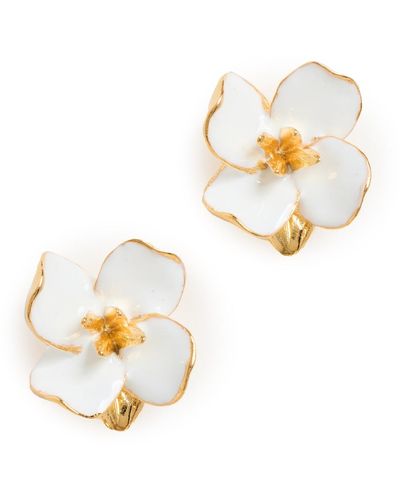 Kenneth Jay Lane Small Flower Earrings - Natural