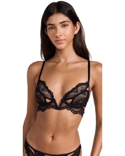 Thistle and Spire Star Crossed Bra in Cordial