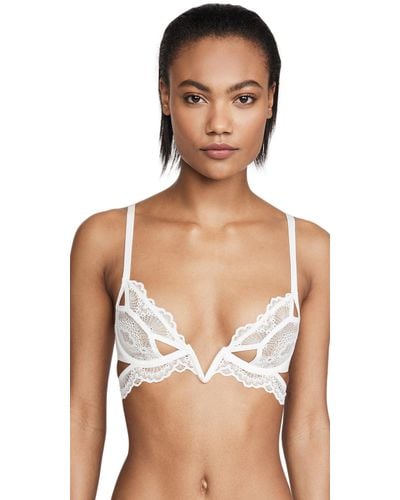 Thistle and Spire Tigris Embroidered Plunge Bra : : Everything Else