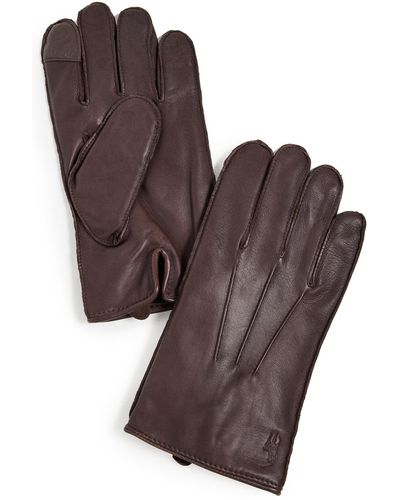 Polo Ralph Lauren Water Repellent Nappa Touch Gloves - Brown