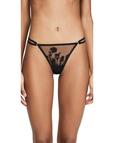  Thistle and Spire Tigris Thong Panty - 311652 (XL, Black) :  Clothing, Shoes & Jewelry
