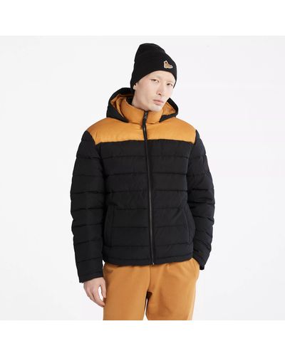 Timberland Jackets for Men | Online Sale up to 60% off | Lyst