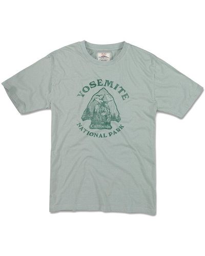 American Needle T-shirt - Green