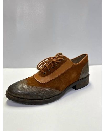 Casta Forme Shoes - Brown