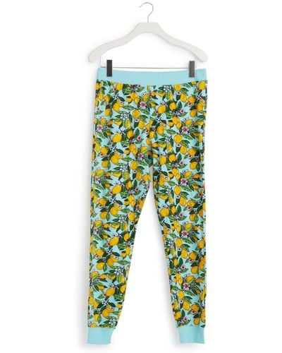 Vera Bradley Cotton Ribbed jogger Pajama Pants - Green