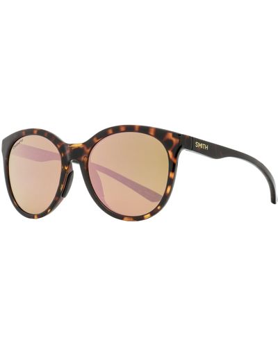 Smith Polarized Sunglasses Bayside 0869v Tortoise 54mm - Black