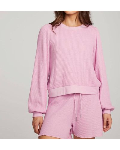 Chaser Brand Owlsey Pullover - Pink
