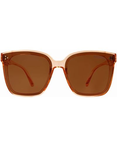 Suzy Levian Clear Oversize Square Lens Gold Accent Sunglasses - Black