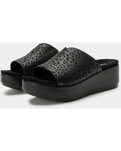 Alegria Triniti Comfort Flatform Sandal - Black