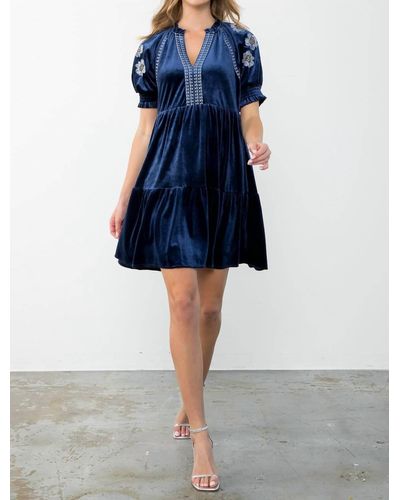 Thml Embroidered Detail Sleeve Velvet Dress - Blue