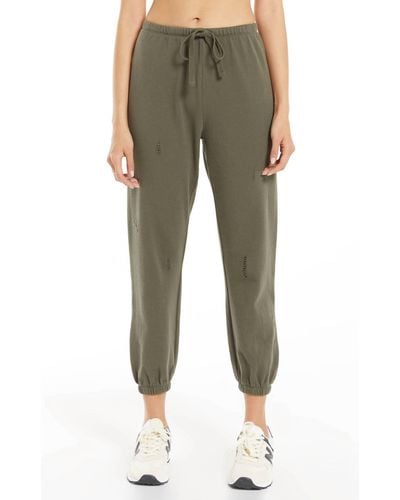 Z Supply Aria Distressed jogger - Green