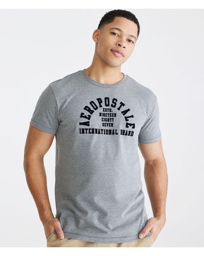 Aéropostale Arch Graphic Tee - Gray