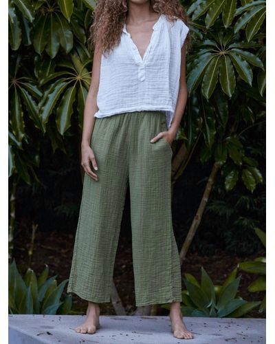 9seed Coney Island Pant In Pacific - Green