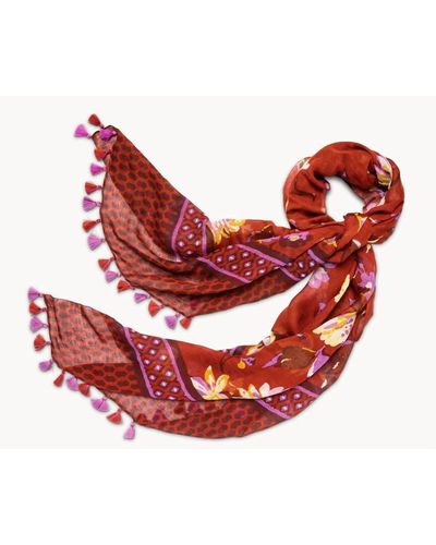 spartina 449 Painterly Floral Scarf - Pink