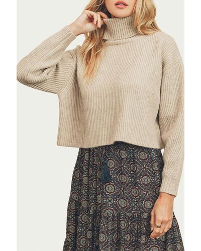 Dress Forum Ribbed-knit Cropped Turtleneck Sweater - Multicolor