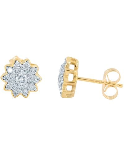 Monary 14k Gold Earrings - Metallic