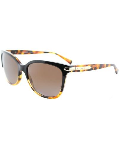 COACH L109 Hc 8132 5438t5 Cat-eye Sunglasses - Multicolor