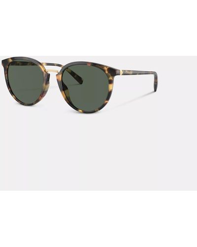 COACH Hangtag Round Sunglasses - Green