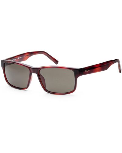 Ferragamo Fashion 58mm Sunglasses - Brown