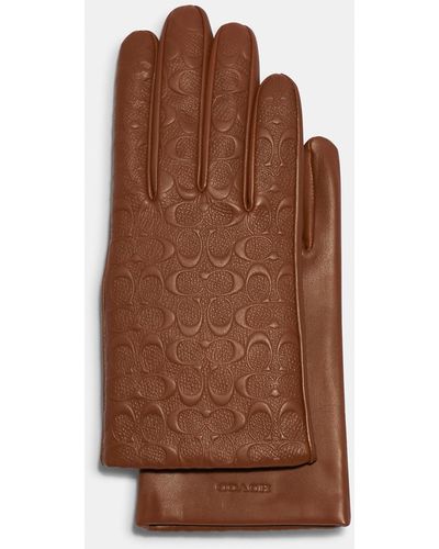 COACH Signature Leather Tech Gloves - Brown