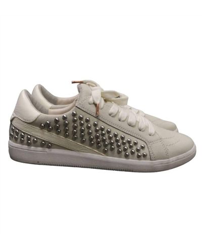 Dolce Vita Nino Stud Sneaker In White Suede - Gray