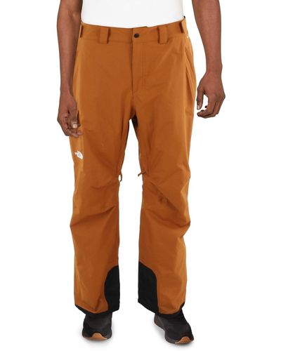 The North Face Freedom Insulated Standard Fit Snow Pants - Brown