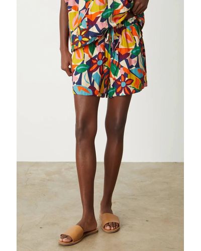 Velvet By Graham & Spencer Josie Shorts - Multicolor